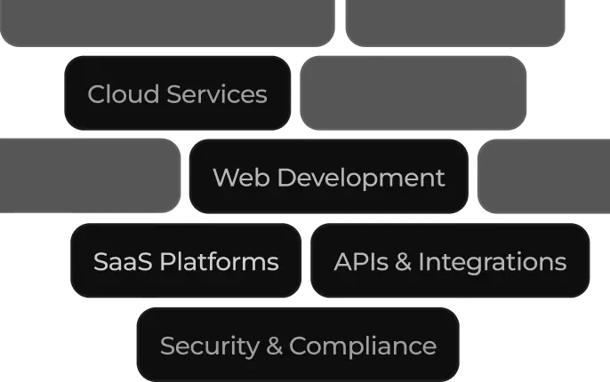 Software and web service providers